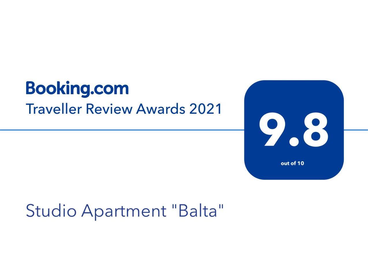 Studio Apartment "Balta" パランガ エクステリア 写真